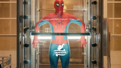 spider man brand new day